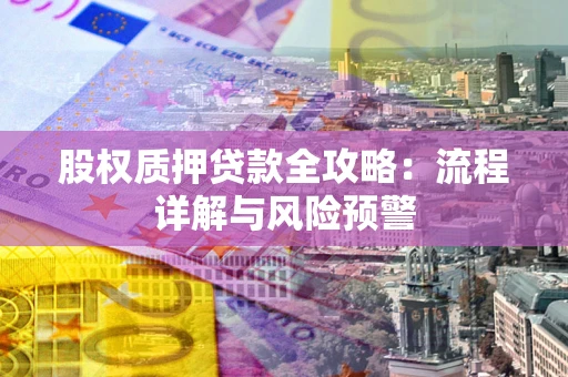 武汉股权质押贷款全攻略：流程详解与风险预警