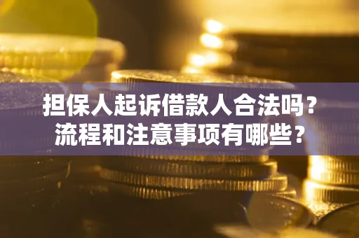 武汉担保人起诉借款人合法吗？流程和注意事项有哪些？