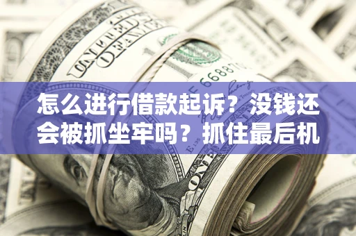 武汉怎么进行借款起诉？没钱还会被抓坐牢吗？抓住最后机会！