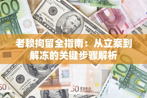 武汉老赖拘留全指南：从立案到解冻的关键步骤解析