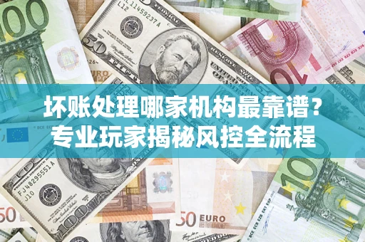 武汉坏账处理哪家机构最靠谱？专业玩家揭秘风控全流程