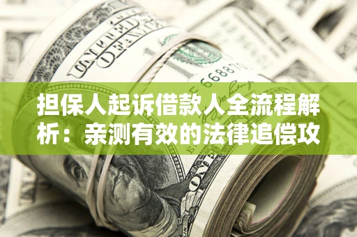 武汉担保人起诉借款人全流程解析：亲测有效的法律追偿攻略