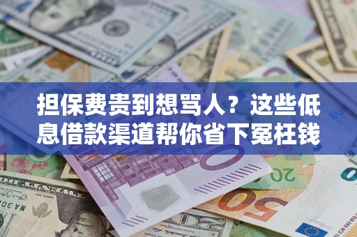 武汉担保费贵到想骂人？这些低息借款渠道帮你省下冤枉钱