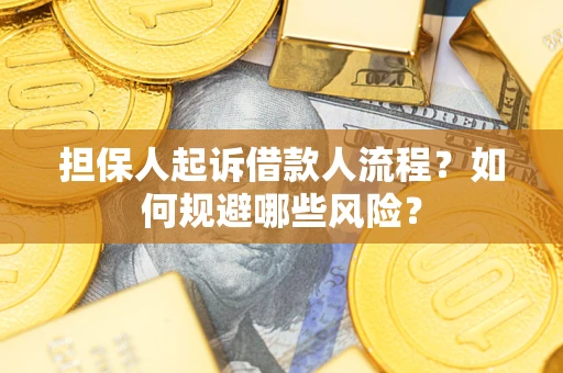 武汉担保人起诉借款人流程？如何规避哪些风险？