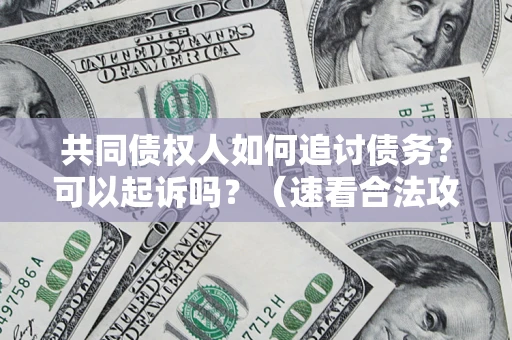 武汉共同债权人如何追讨债务？可以起诉吗？（速看合法攻略）
