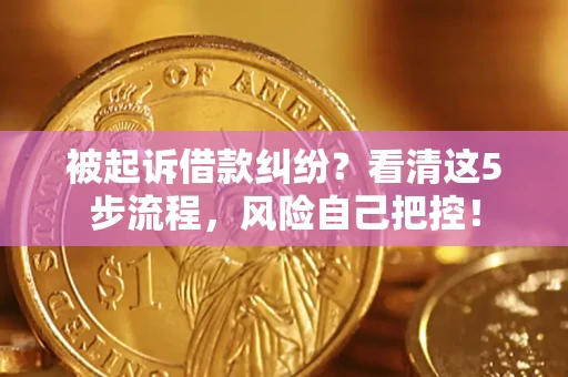 武汉被起诉借款纠纷？看清这5步流程，风险自己把控！