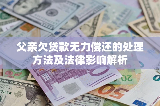 武汉父亲欠贷款无力偿还的处理方法及法律影响解析