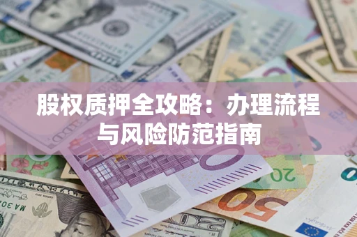 武汉股权质押全攻略：办理流程与风险防范指南