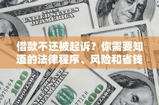 武汉借款不还被起诉？你需要知道的法律程序、风险和省钱技巧